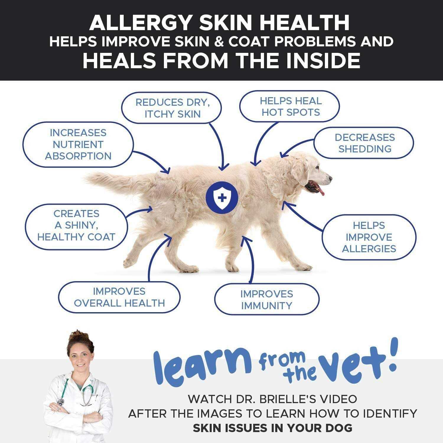 Pet Honesty Allergy Skin Health