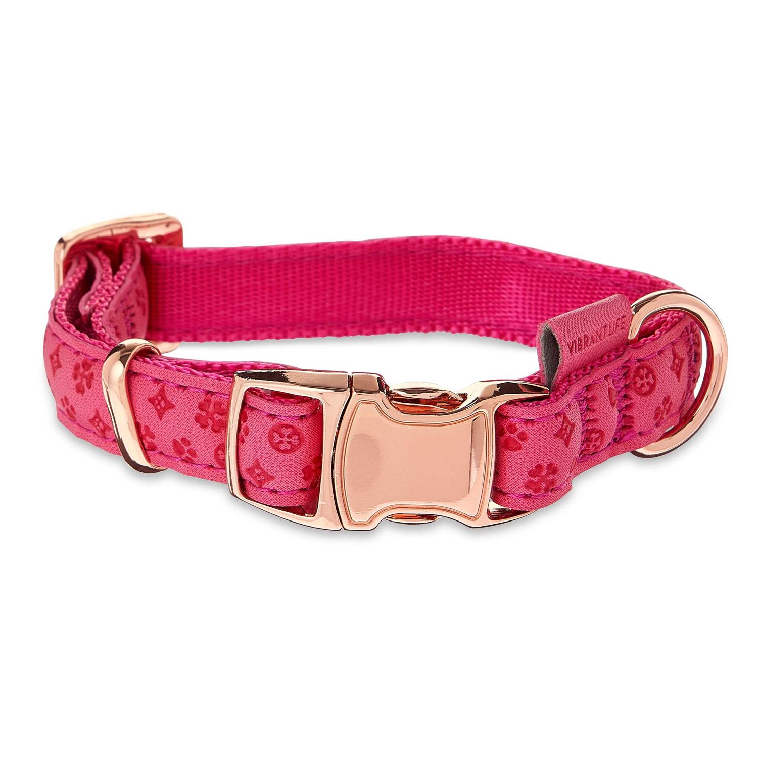 Vibrant Life Embossed Adjustable Dog Collar