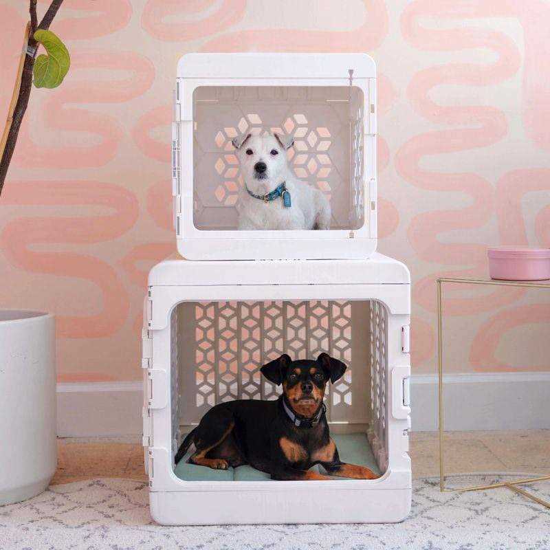 KindTail PAWD Collapsible Dog & Cat Crate