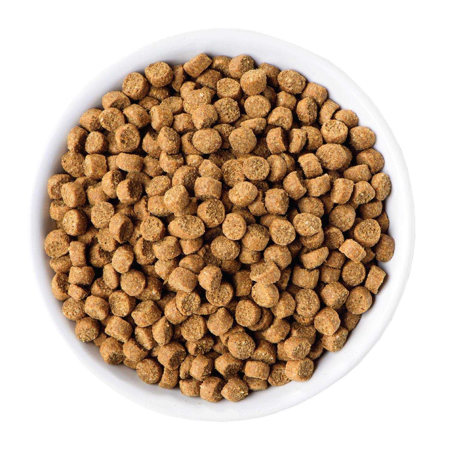 Wellness Complete Health Toy Breed Adult Dry Dog Food