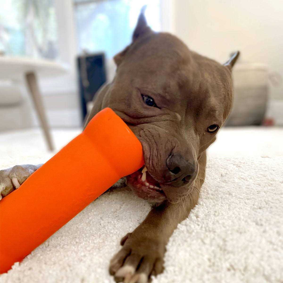 Ruff Dawg Crinkit Dog Toy