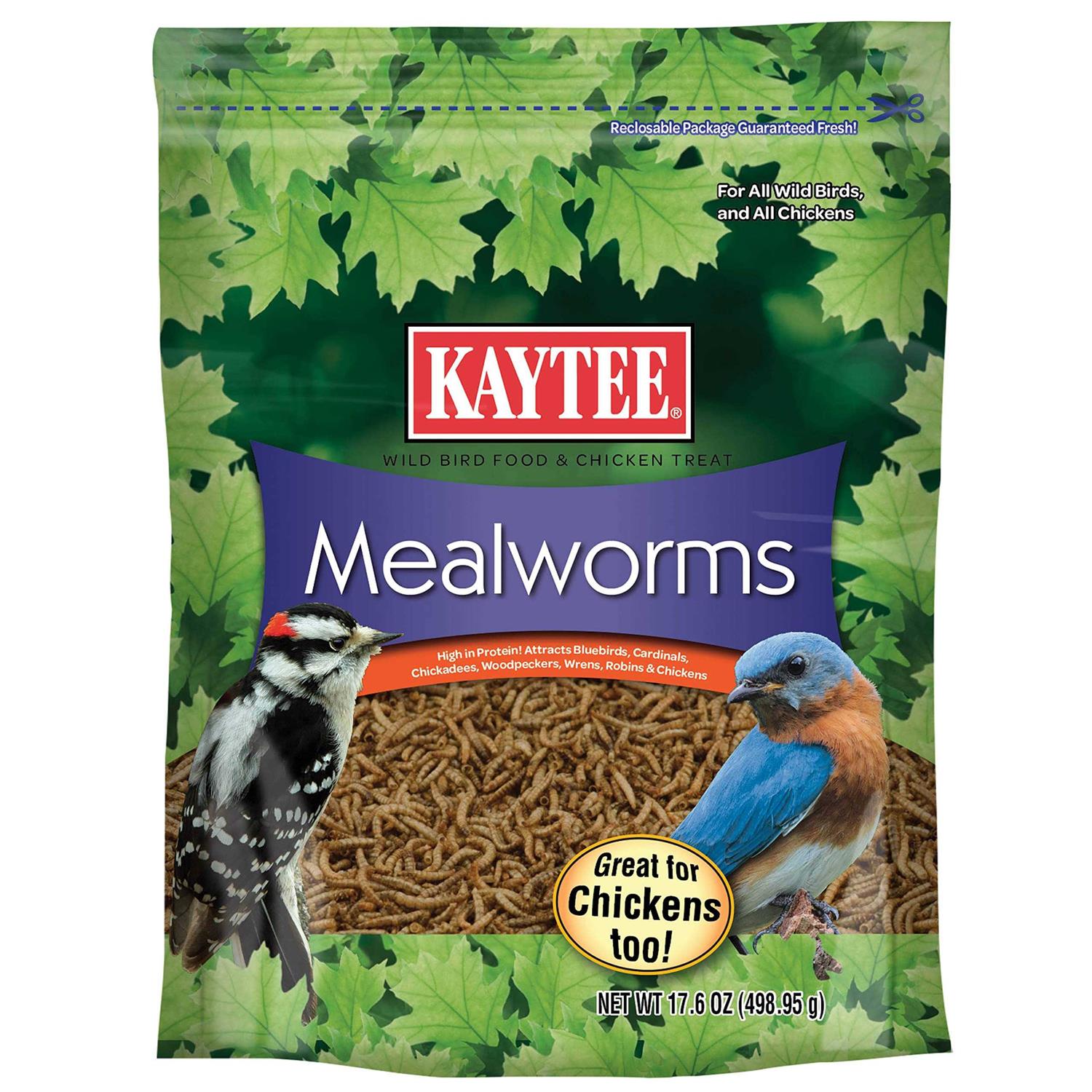 Kaytee Mealworms Bird Food
