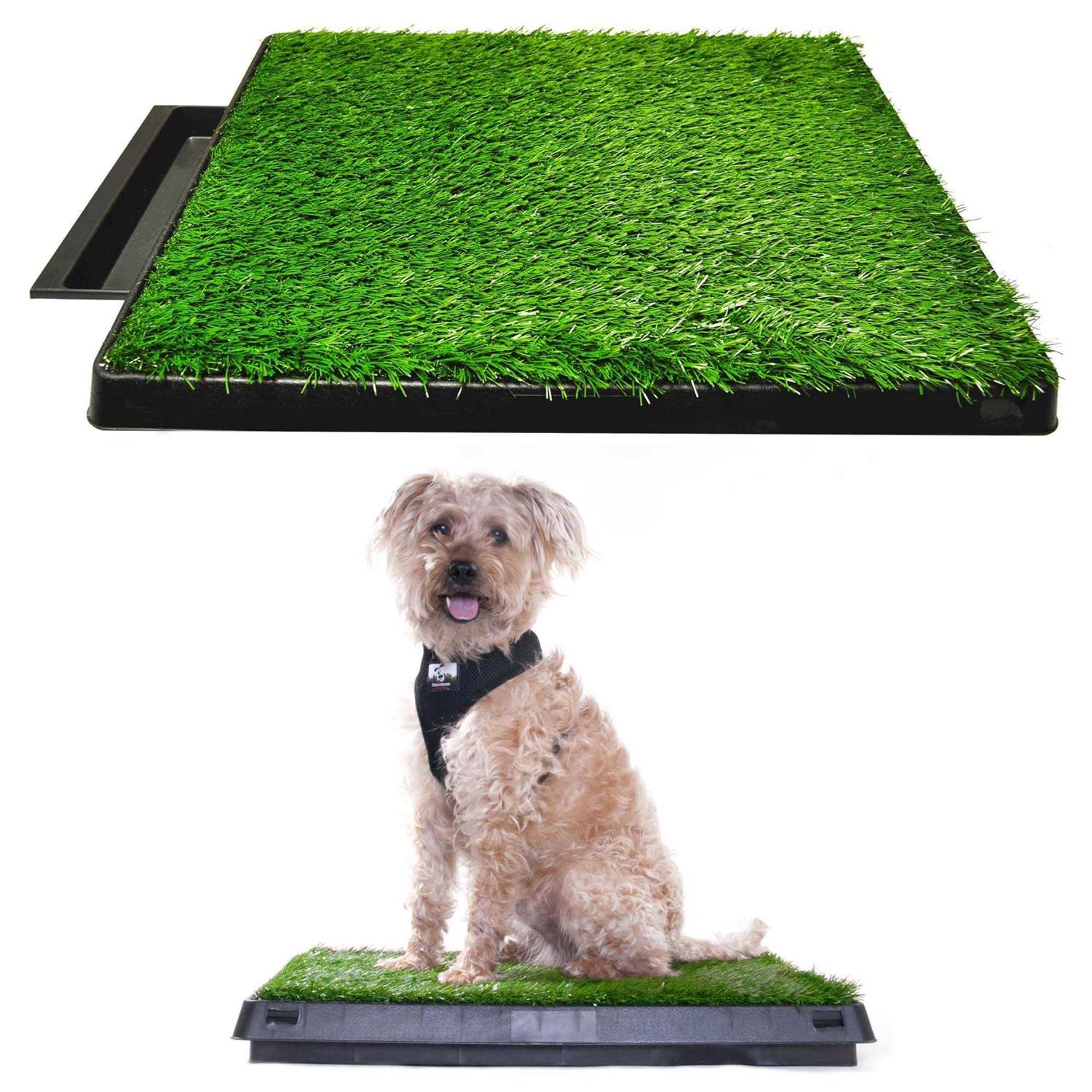 Downtown Pet Supply Dog Grass Pad with Tray, 20 x