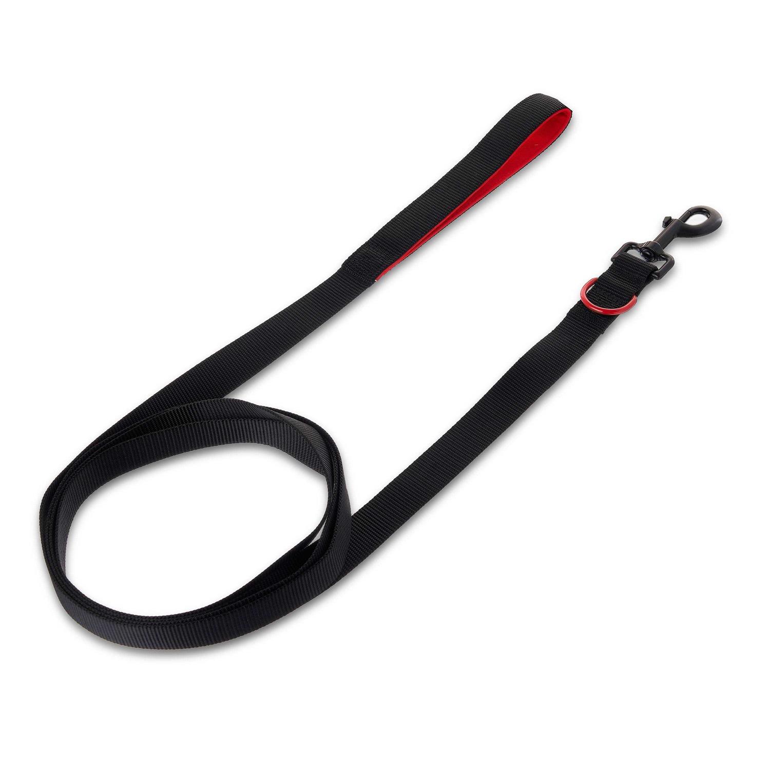 Vibrant Life Pull Control Leash for Dogs with D-Ring
