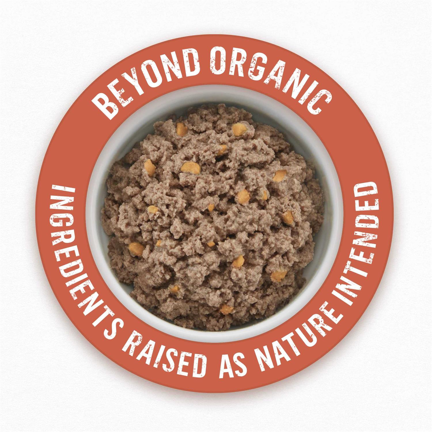 Purina Beyond Organic Chicken Recipe Wet Dog Food