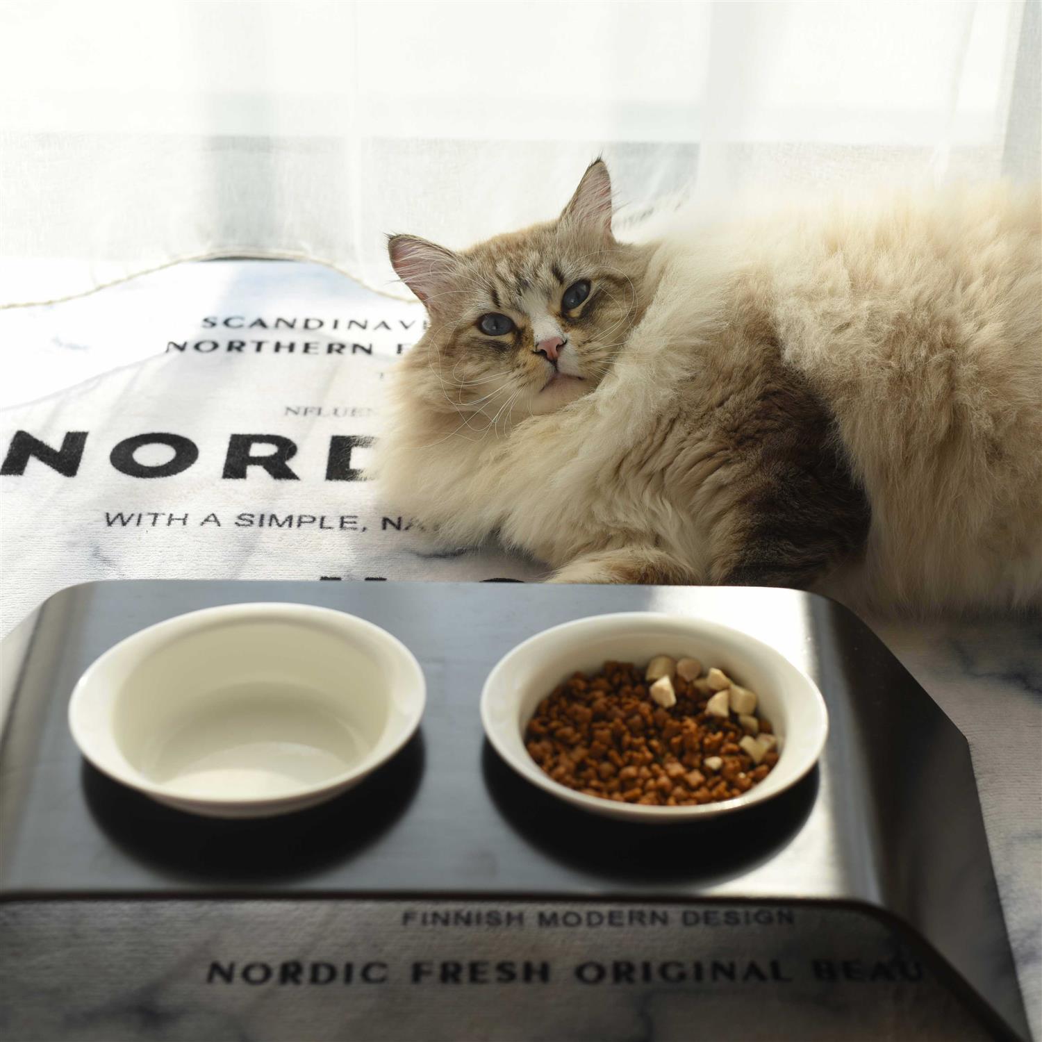 K1 Pet Design K1 CapCap Pet Food Table