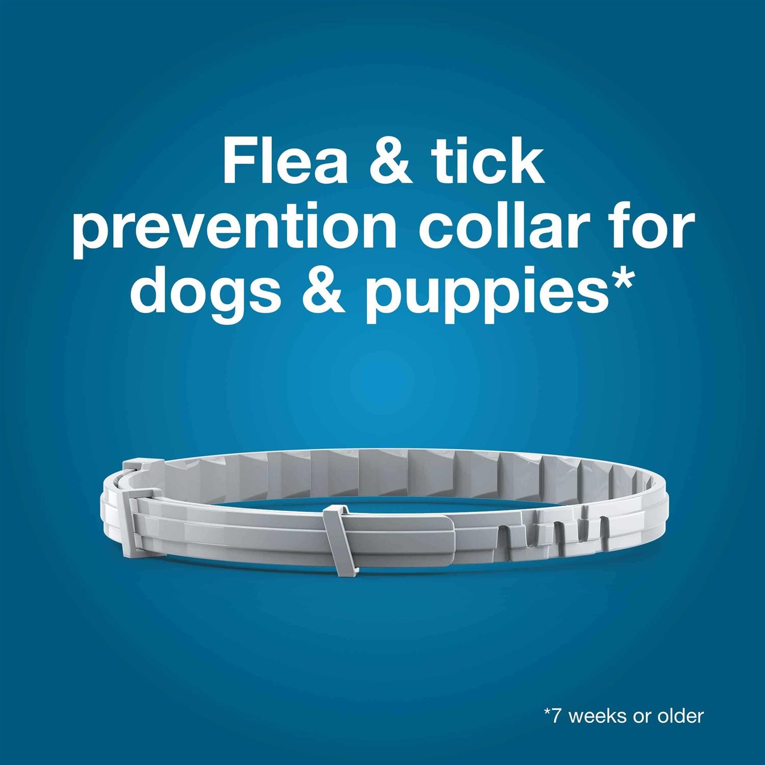 Bayer Seresto Flea and Tick Collar for Dogs