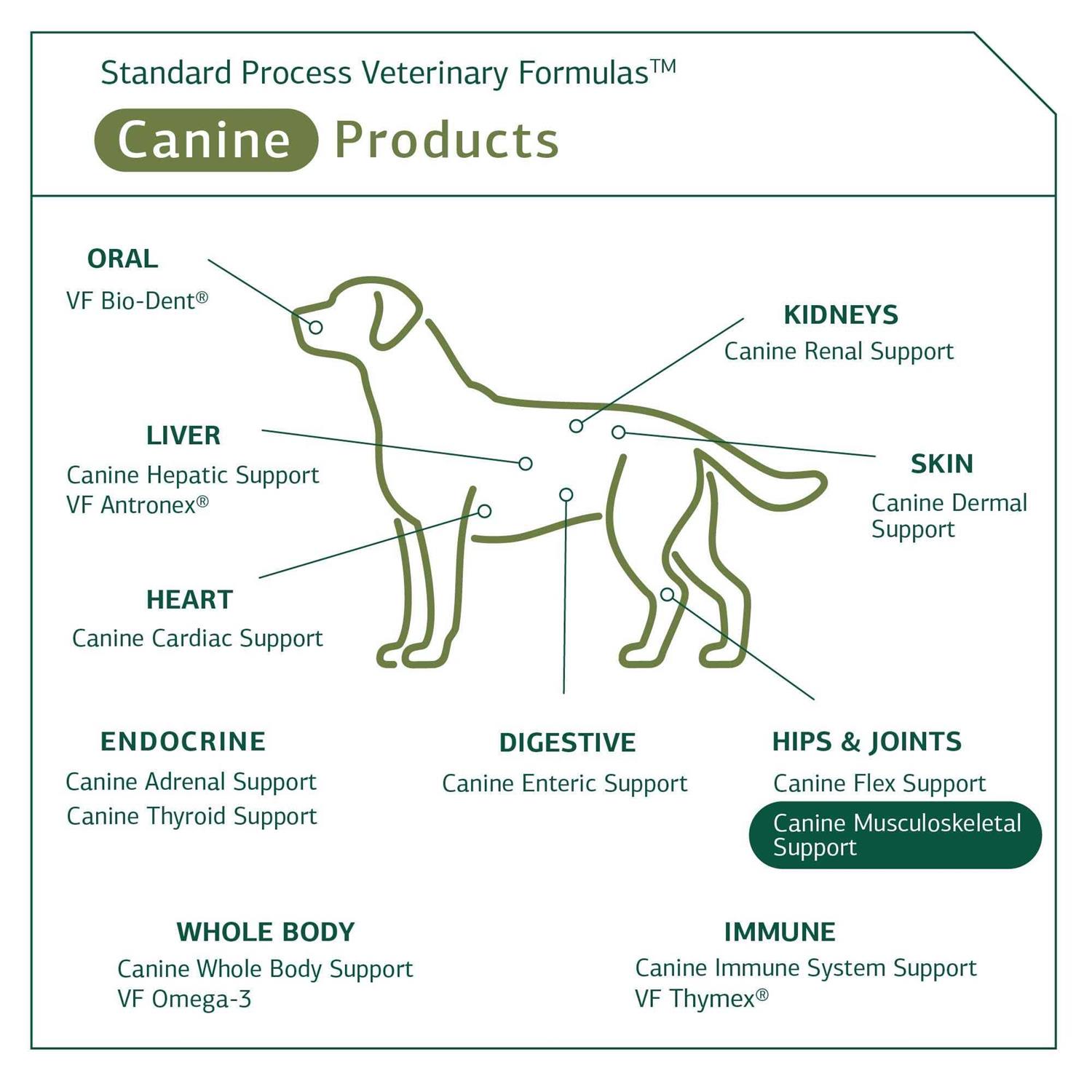 Canine Musculoskeletal Support Standard Process