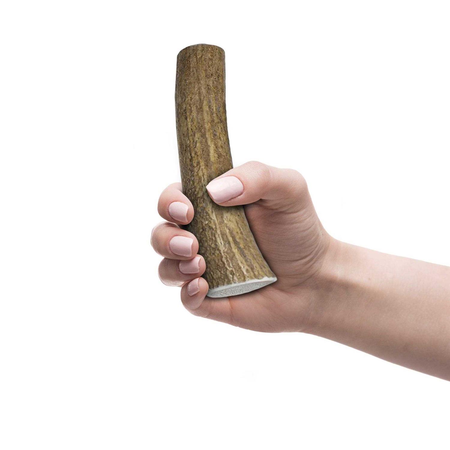 K9warehouse Elk Antlers for Dogs Made in USA