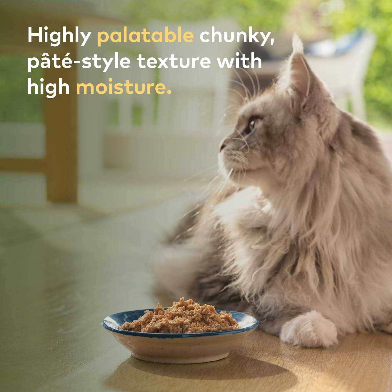 Ziwi Peak Chicken Recipe Canned Cat Food