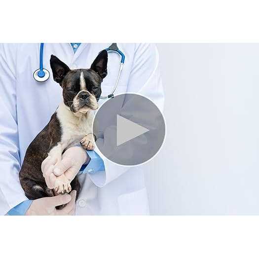 Pet Wellbeing Adrenal Harmony Gold for Dogs