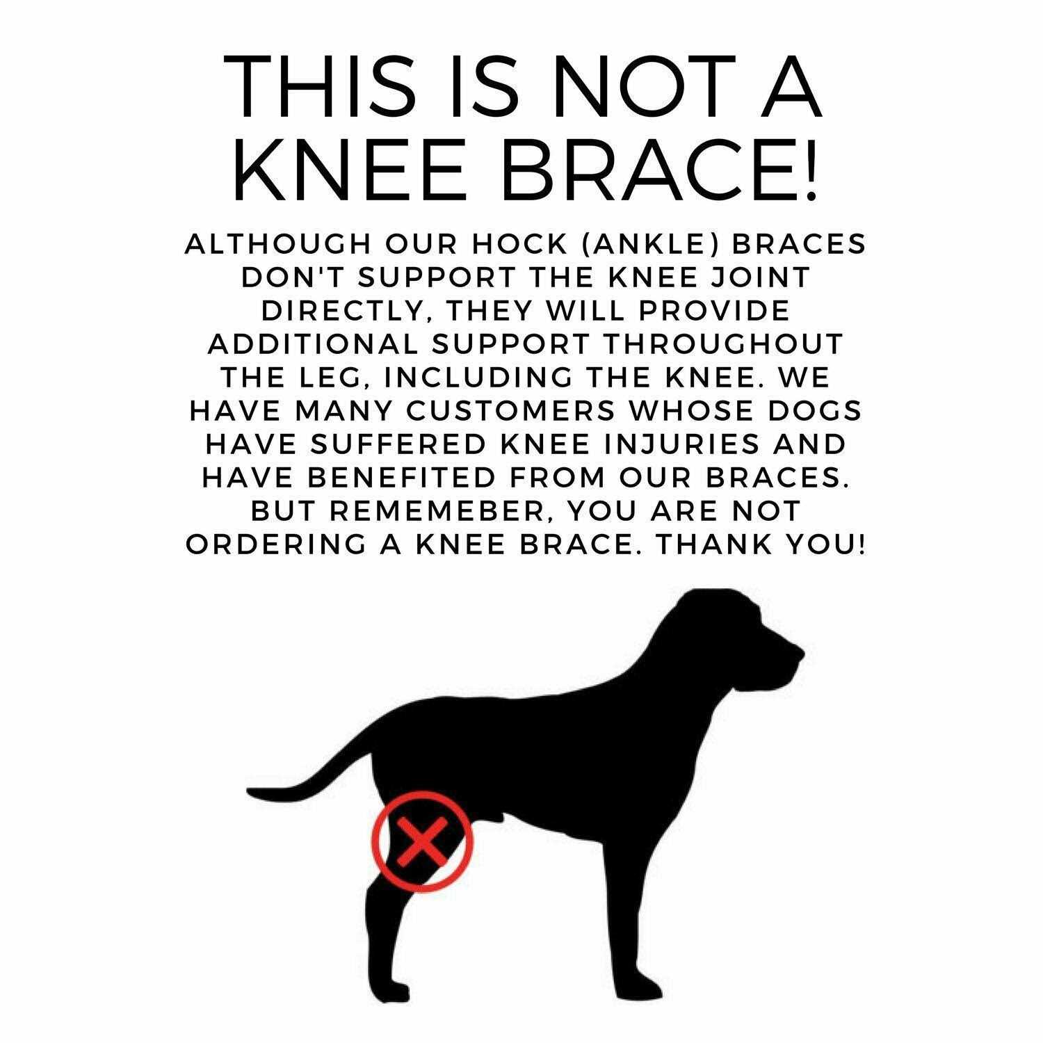 Labra Dog Extra Supportive Canine Rear Leg Hock Joint Compression Wrap and and