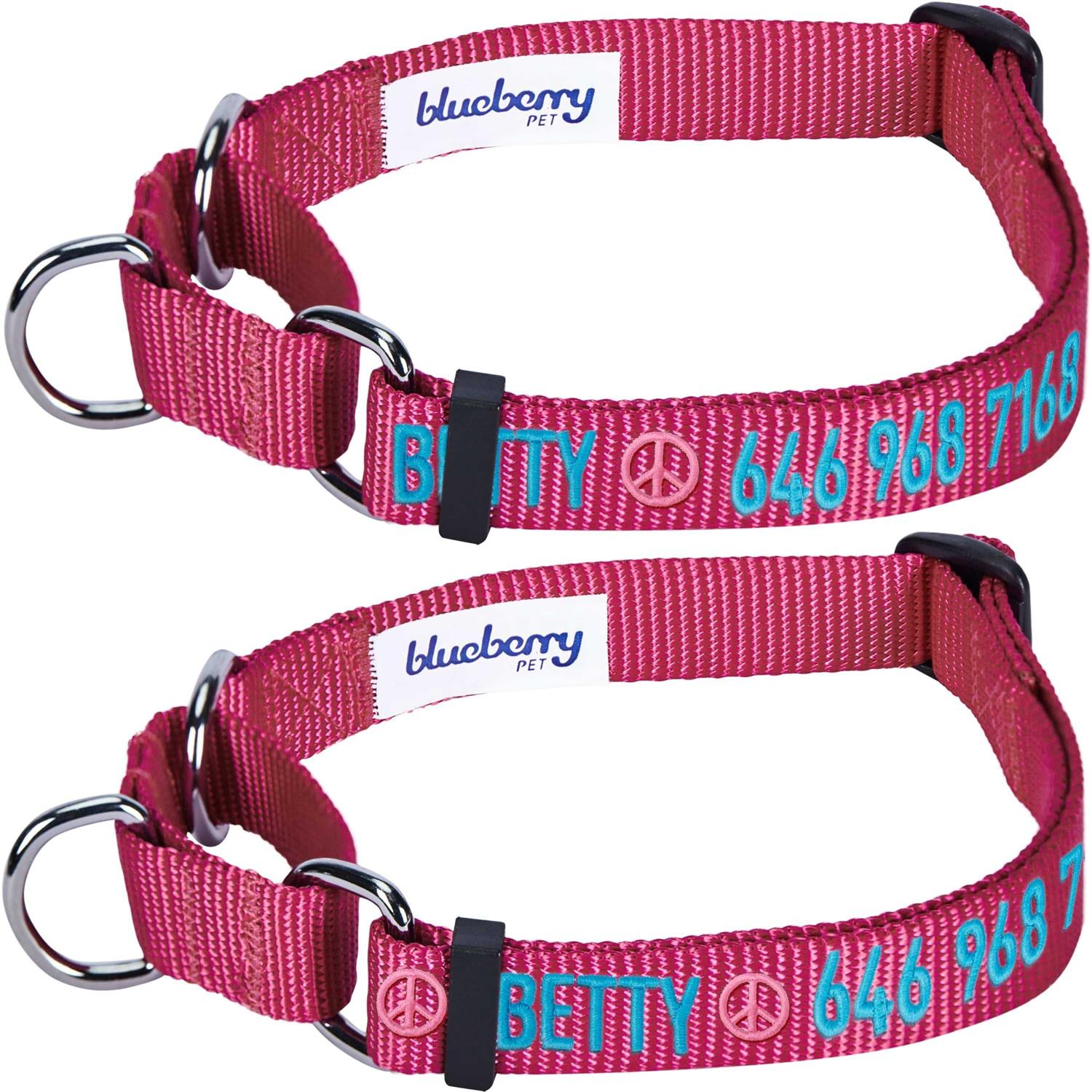 Blueberry Pet Martingale Safety Training Dog Collar