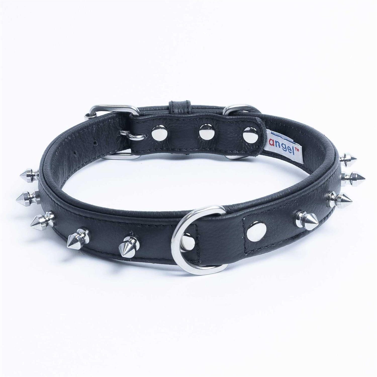 Rotterdam Dog Collar Spiked