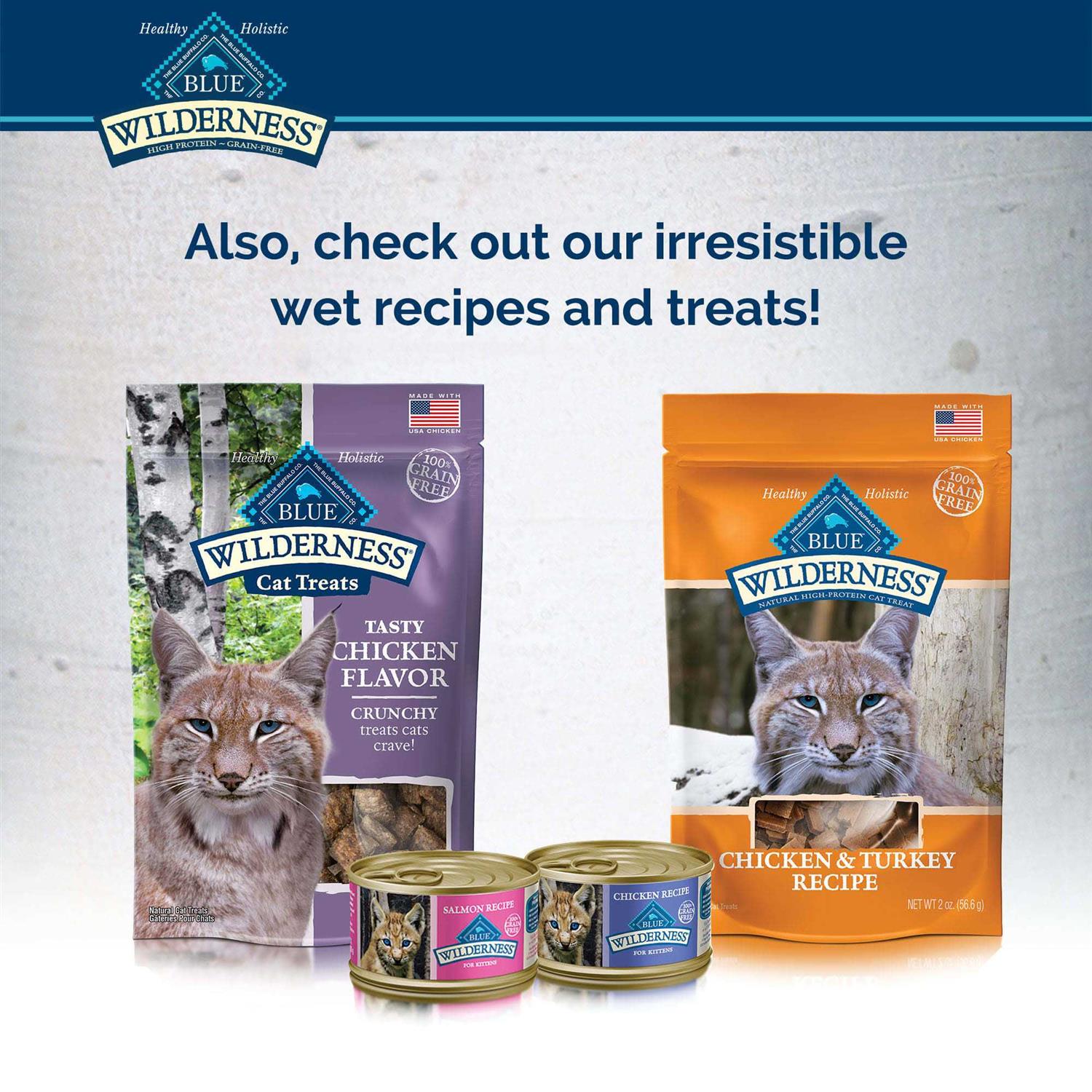 Blue Wilderness Kitten Dry Food