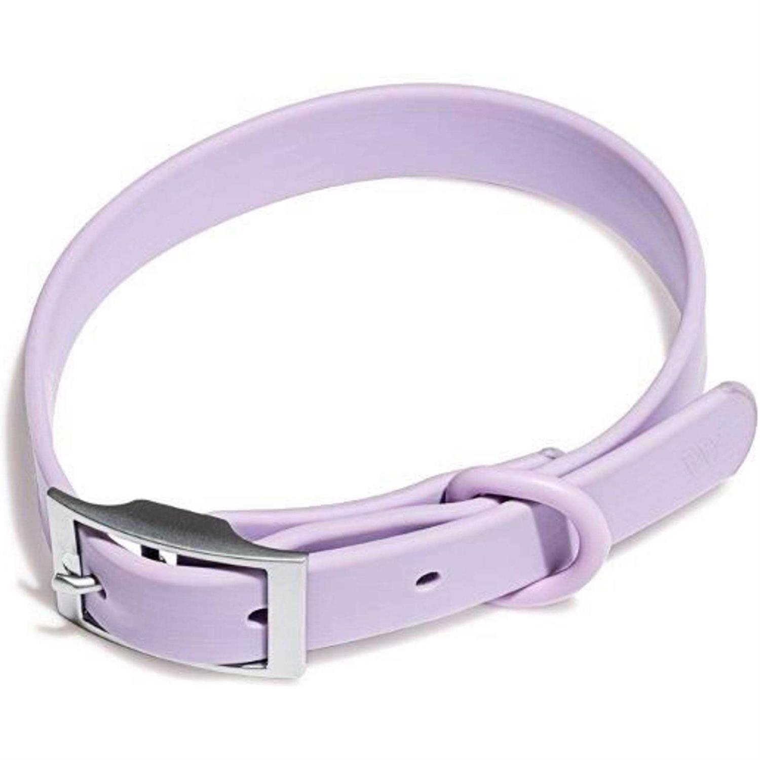 Wild One Dog Collar