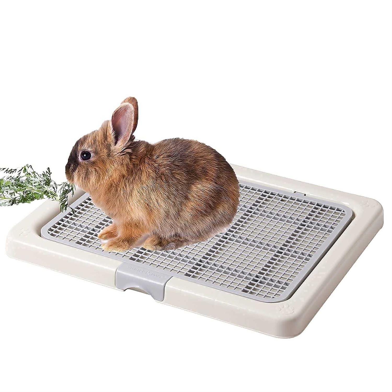 Smart Paws 3 Sizes Small Puppy Dog Toilet,Poodles Training Tray,Yorkie Pet Pads Holder