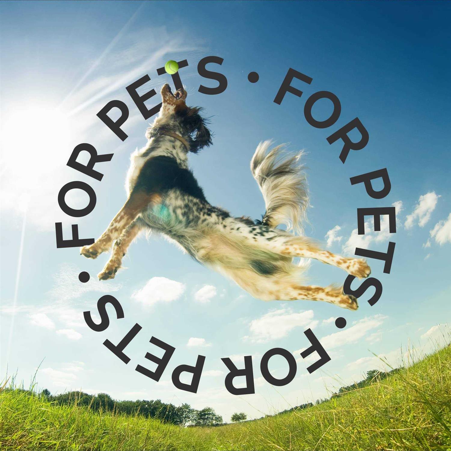 Bark2Basics Salon Scents Pet Cologne 8 oz