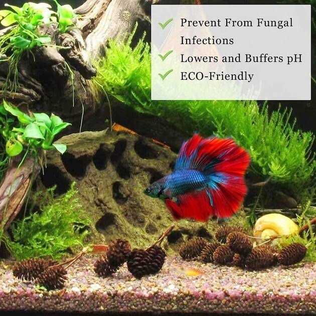 SunGrow Shrimp Breeding Aquarium Tank Water Conditioner & Food Alder Cones