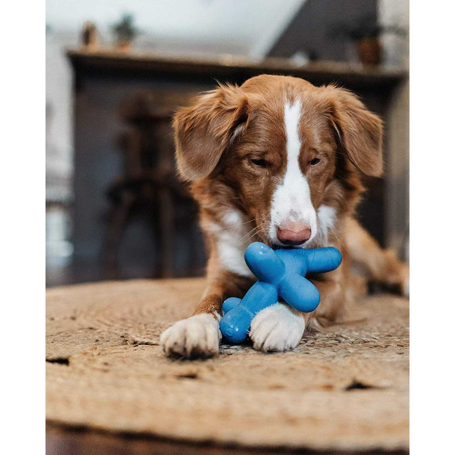 Charming Pet Latex Balloon Dog Toy