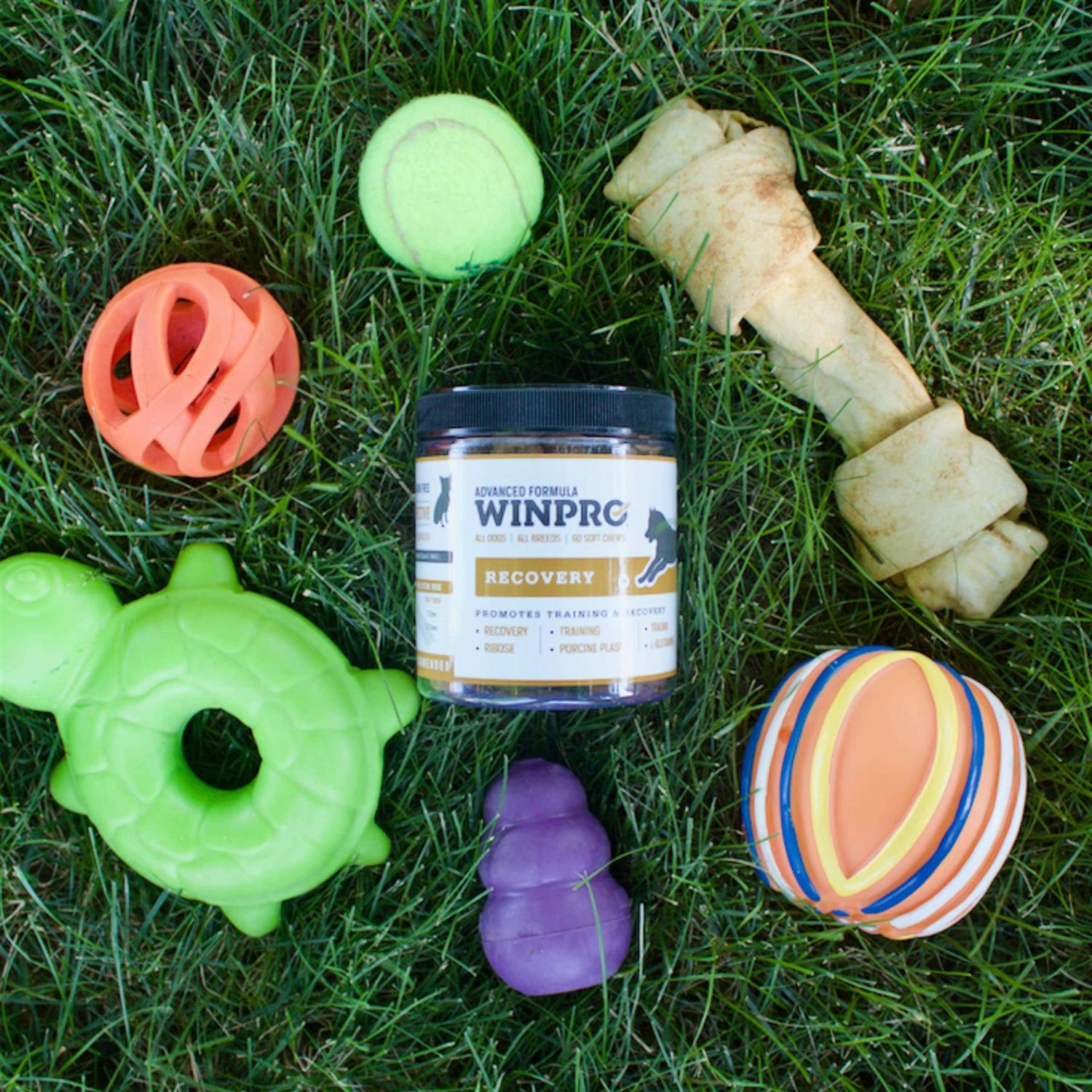 Winpro Pet Free Plasma-Powered Soft Chews, 60 Chews, Natural Blood Protein Supplements for Dogs and