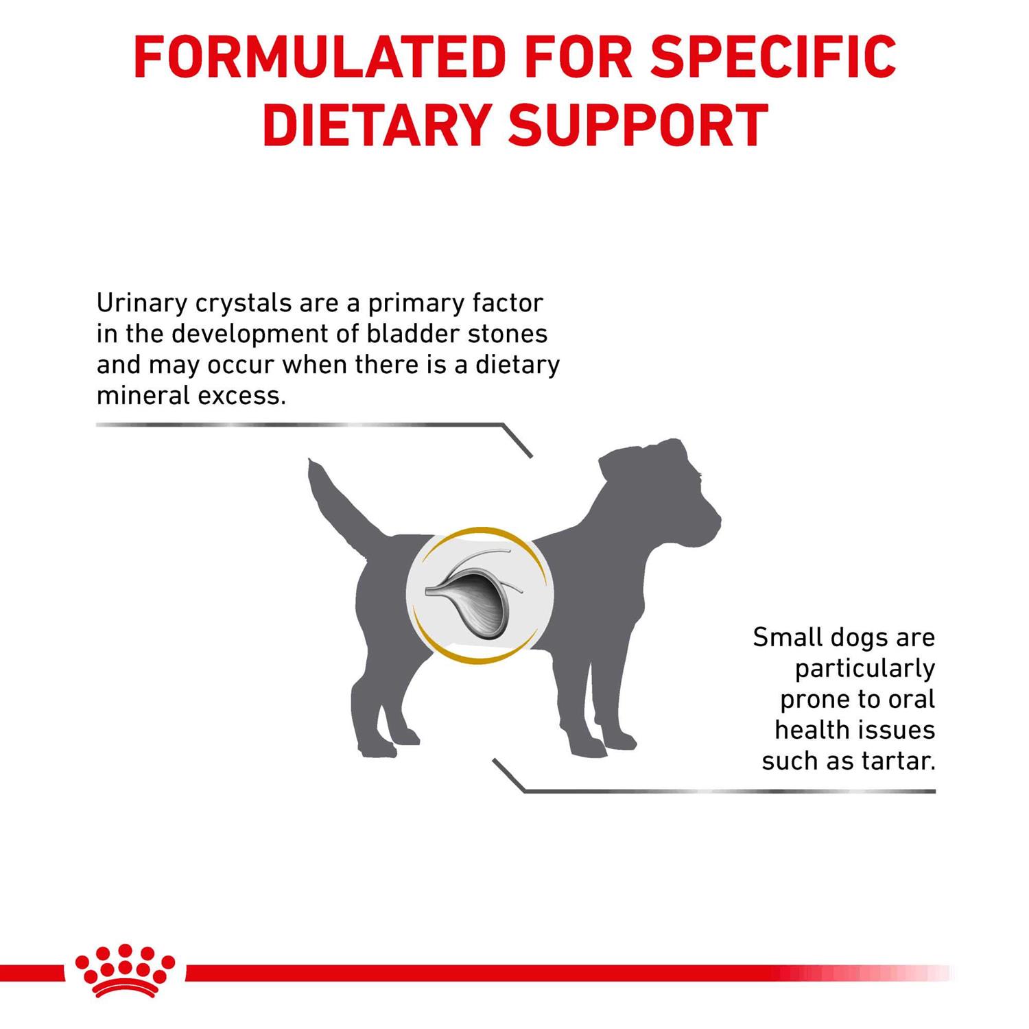Royal Canin Urinary Small Dog Food