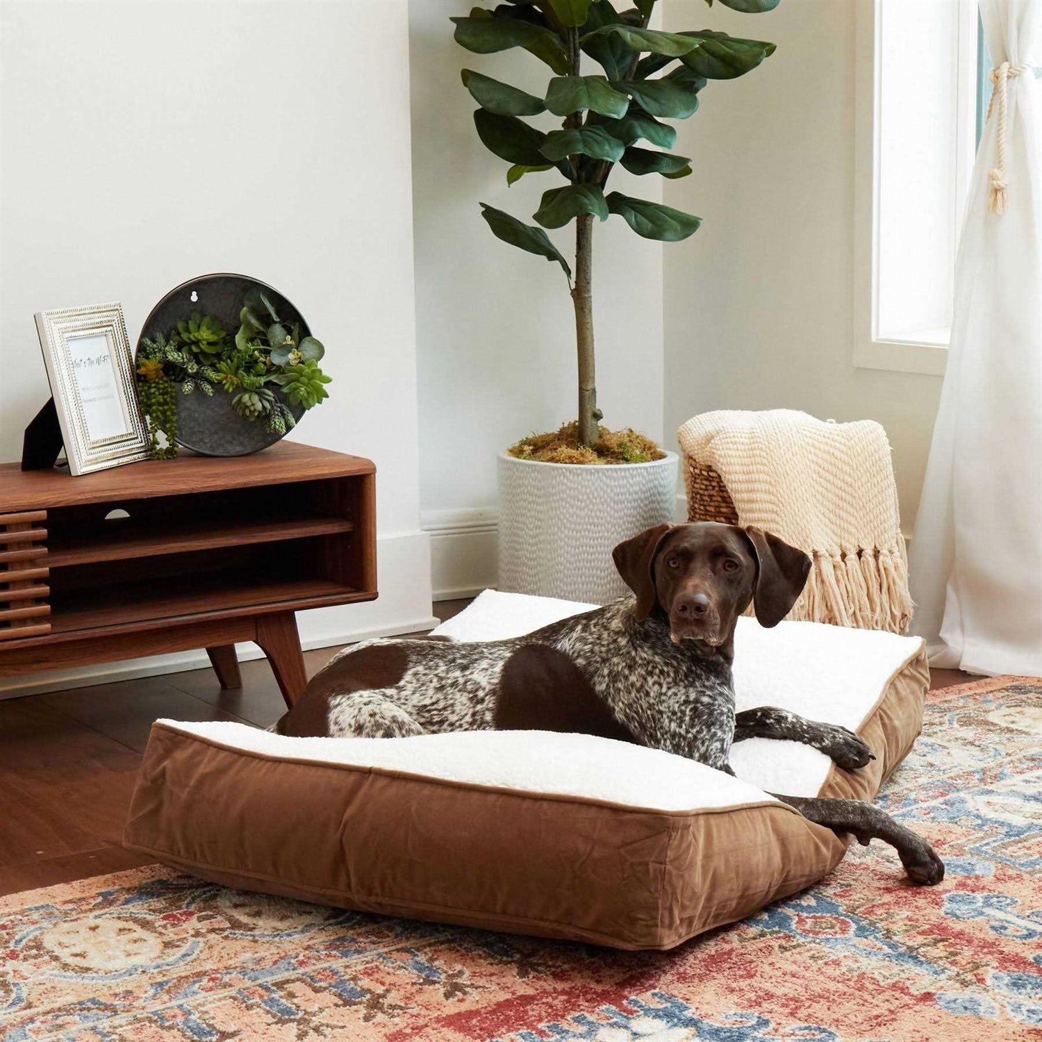 Happy Hounds Bailey Rectangle Pillow Dog Bed w/ Removable COVER