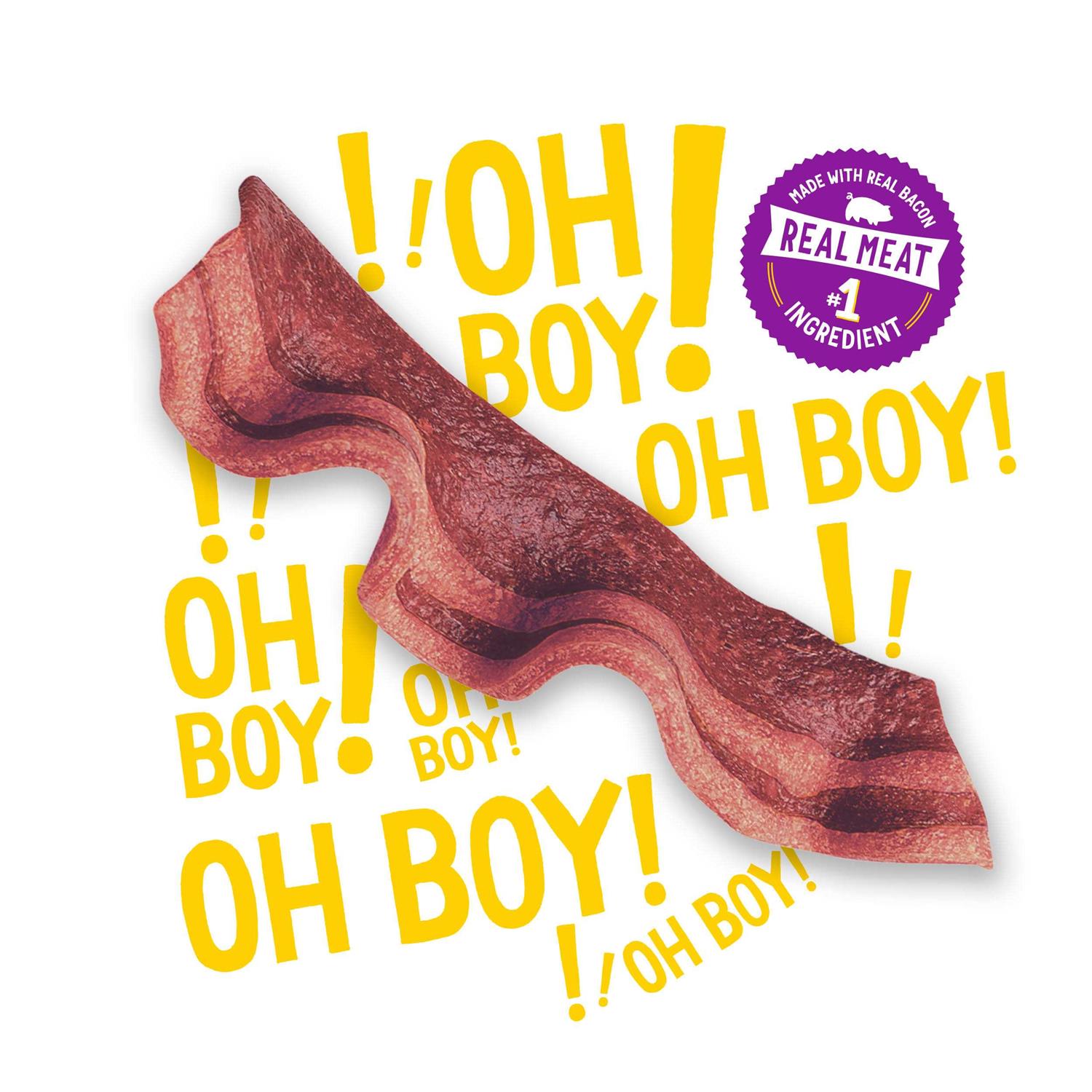 Purina Beggin Strips Bacon & Beef Dog Treats