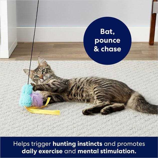 Frisco Bird with Feathers Teaser Wand Cat Toy with Catnip