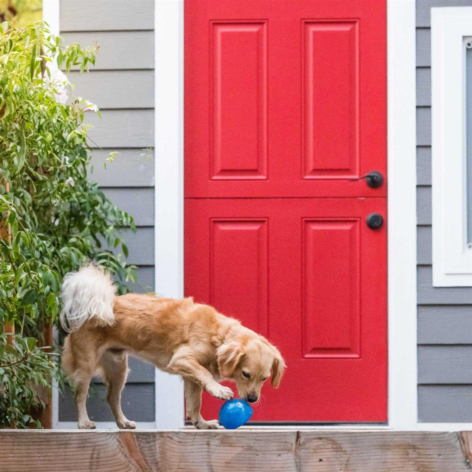 Planet Dog Orbee Tuff Snoop Dog Toy