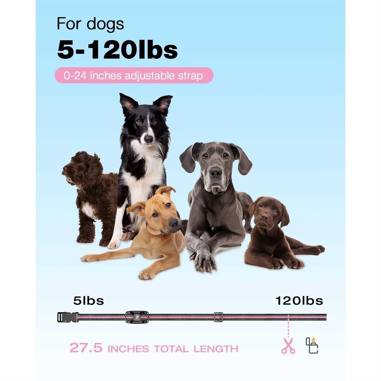 Bousnic Dog Shock collar 3300Ft Dog Training collar with Remote for 5-120lbs Small Medium Large Dogs Rechargeable