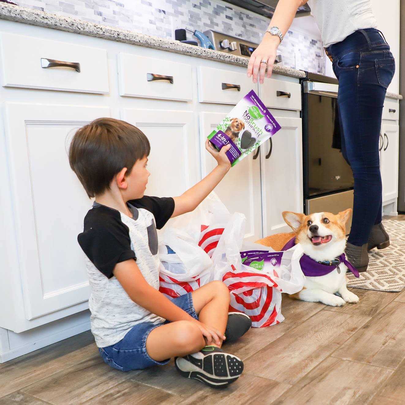 Every Day Naturals No Brush Toothpaste Dental Chew