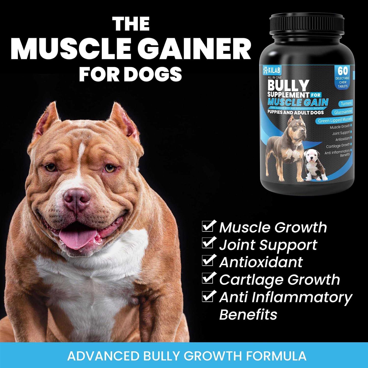 Kilab Dog Weight Gainer Muscle Builder Dog Supplement – Muscle Growth Supplement for Dogs, Puppies and Adults – Bully Growth Formula