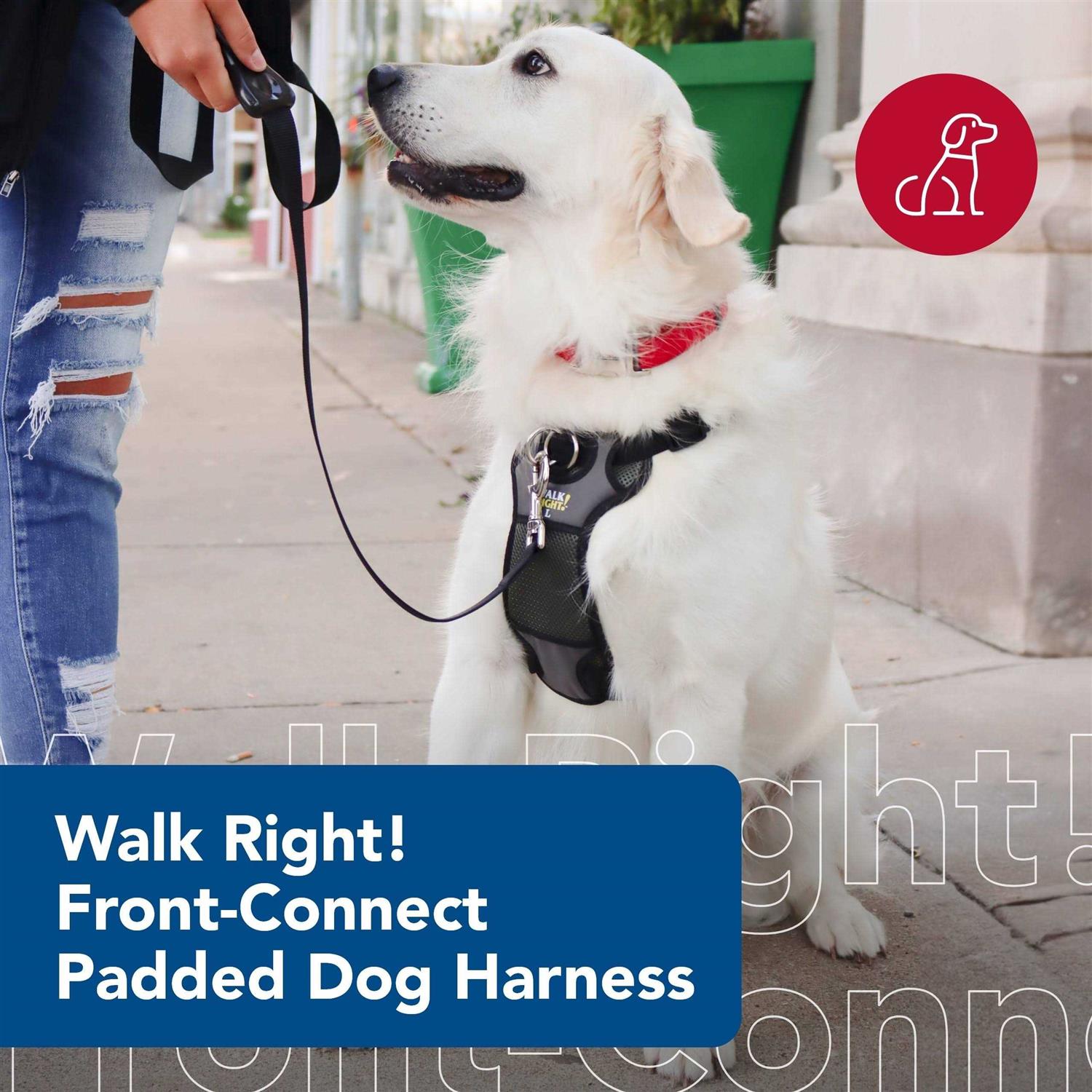 Coastal Pet Walk Right Padded Harness