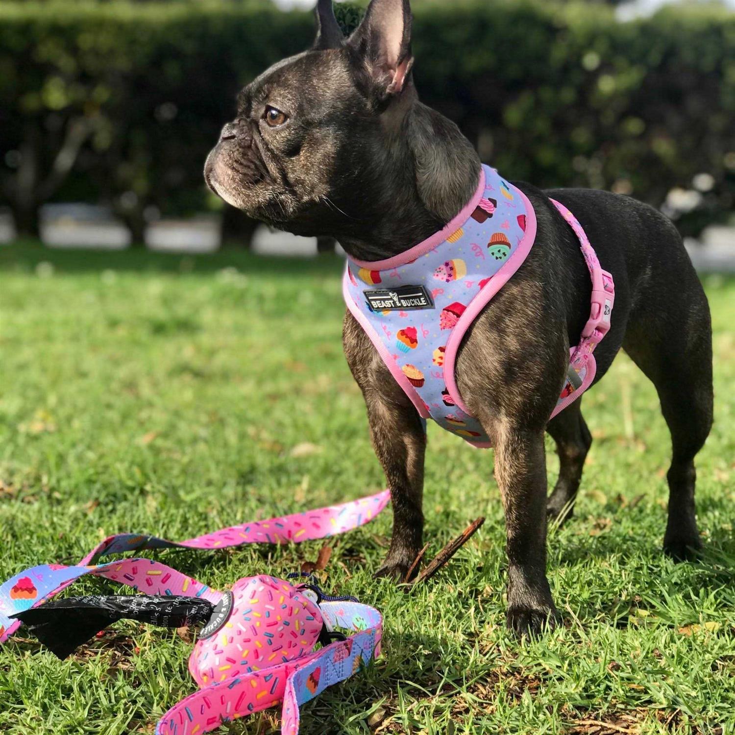 Beast & Buckle Reversible Dog Harness