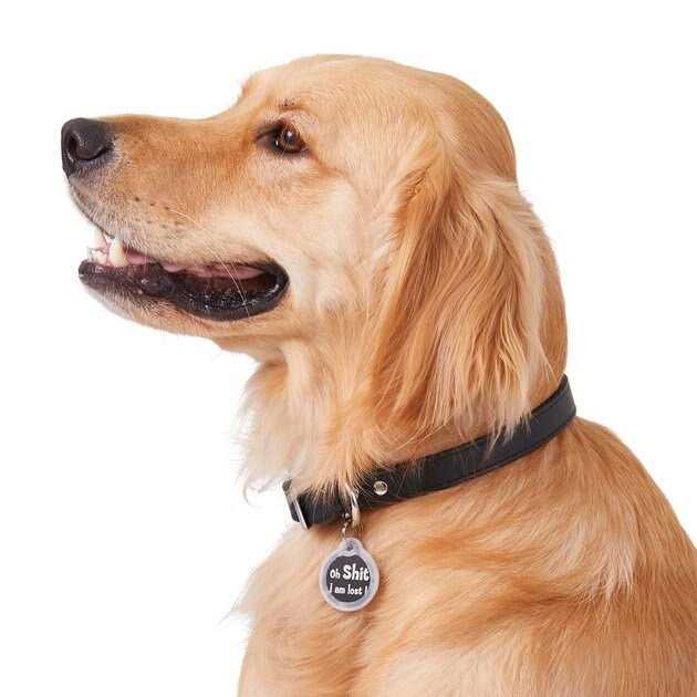 GoTags Anodized Aluminum Personalized Silencer Dog & Cat ID Tag