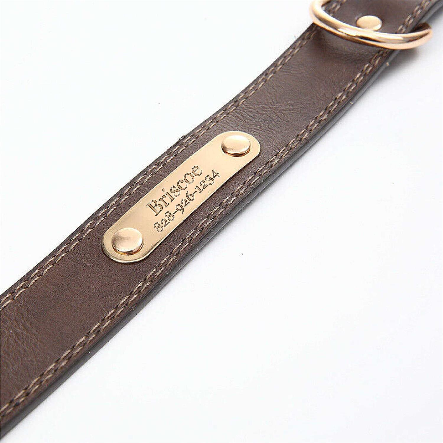 Express Pencils Personalized Dog Collar Engraved Soft Leather Custom Small