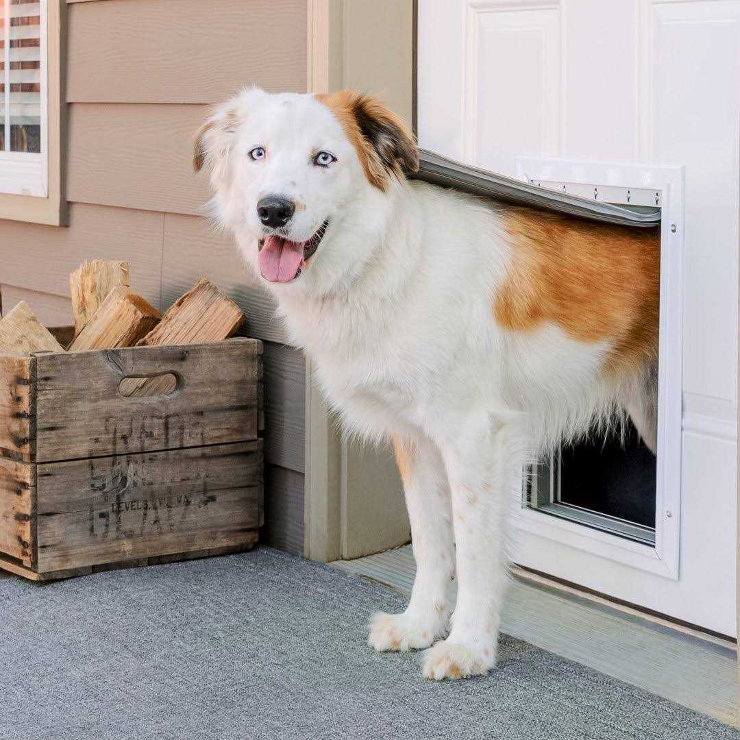 Extreme Weather Aluminum Pet Door PetSafe
