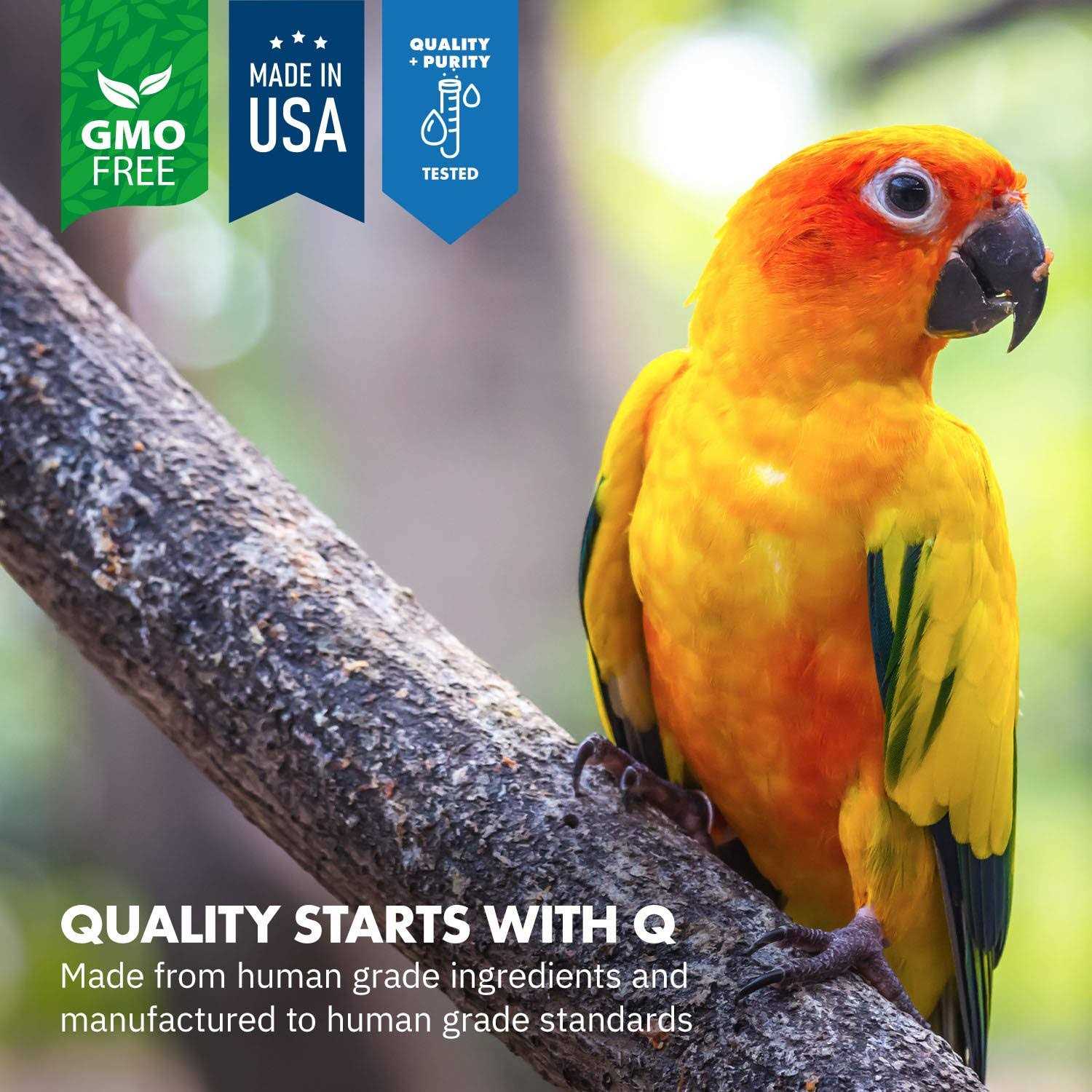 Equa Holistics Avian Calm