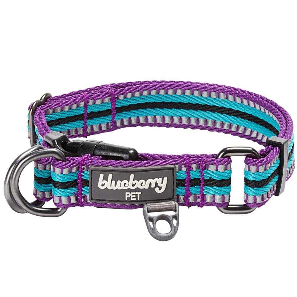 Blueberry Pet 3M Reflective Multi-Colored Stripe and Dog Collar