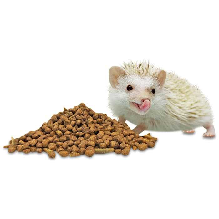 Exotic Nutrition Hedgehog Essential