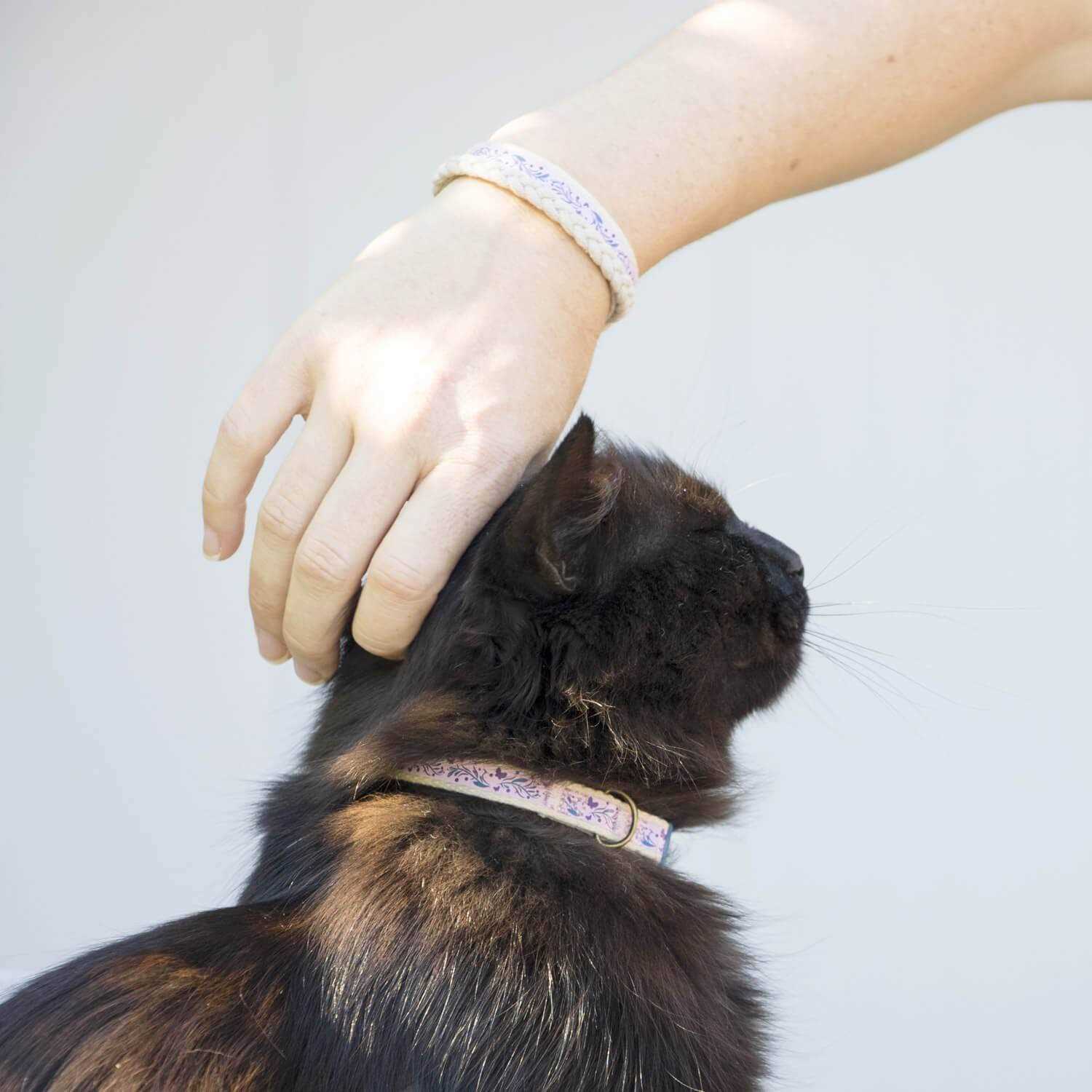 Pettsie Cat Collar Breakaway Friendship Bracelet