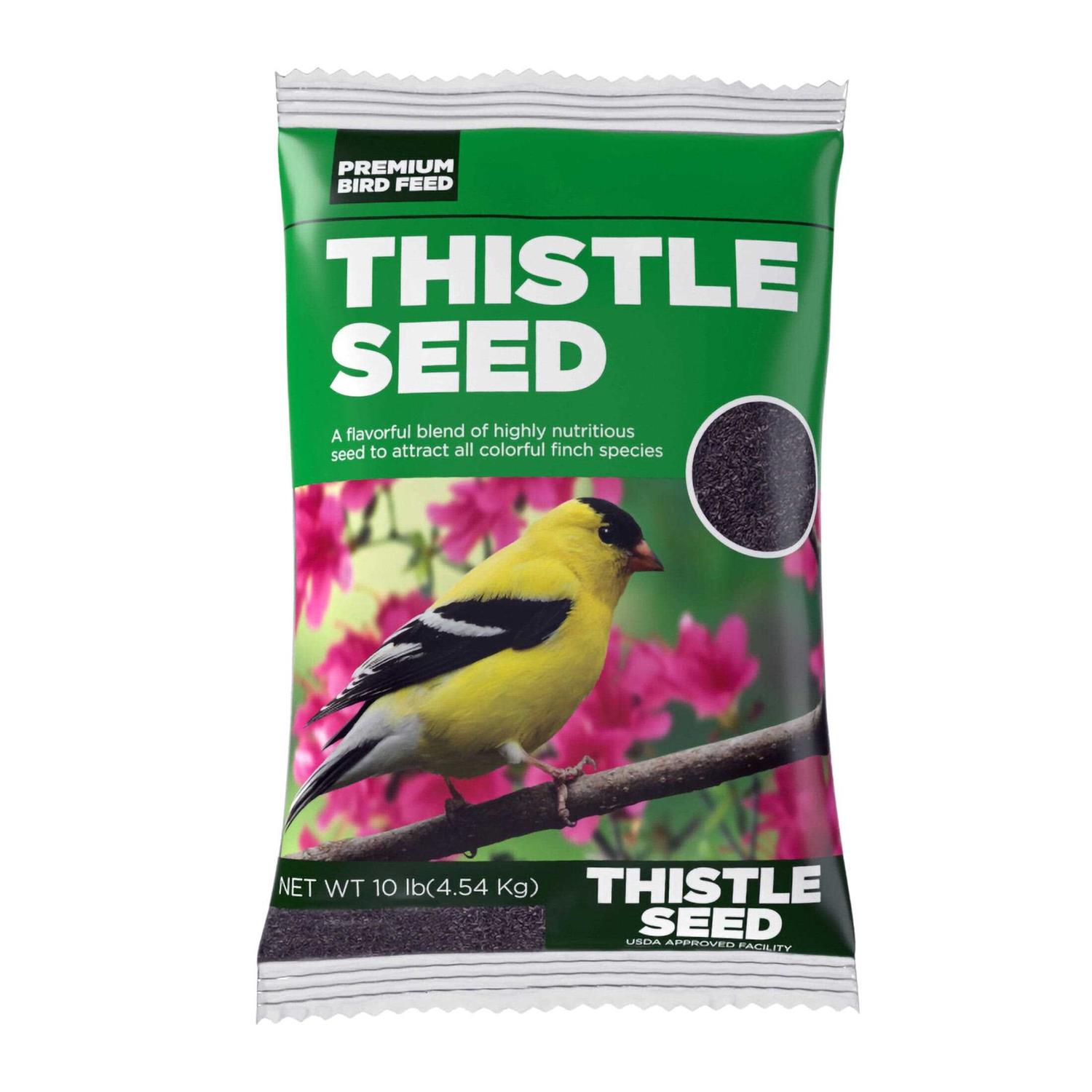 Premium Sterilized Natural Black Thistle Seed