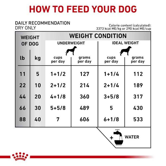 Royal Canin Veterinary Diet Gastrointestinal Fiber Response Dry Dog Food