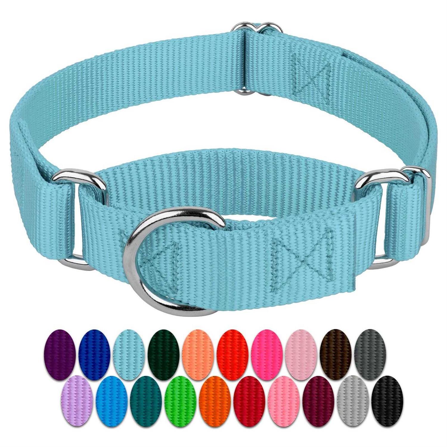 Country Brook Petz Martingale Nylon Dog Collar