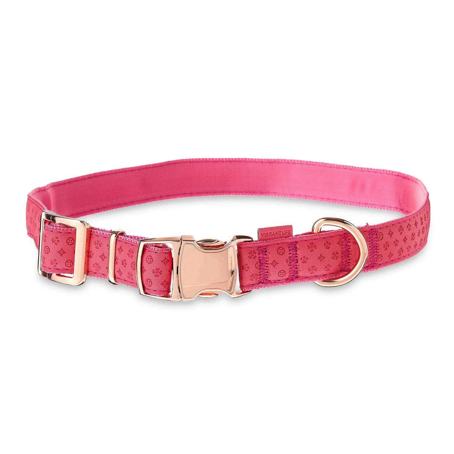 Vibrant Life Embossed Adjustable Dog Collar