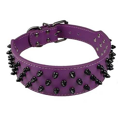 Dogs Kingdom Leather Black Spiked Studded Dog Collar 2 Wide