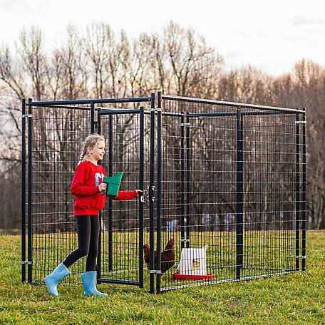 Tarter DKFMDB5 Blue Champion Dog Kennel Gate