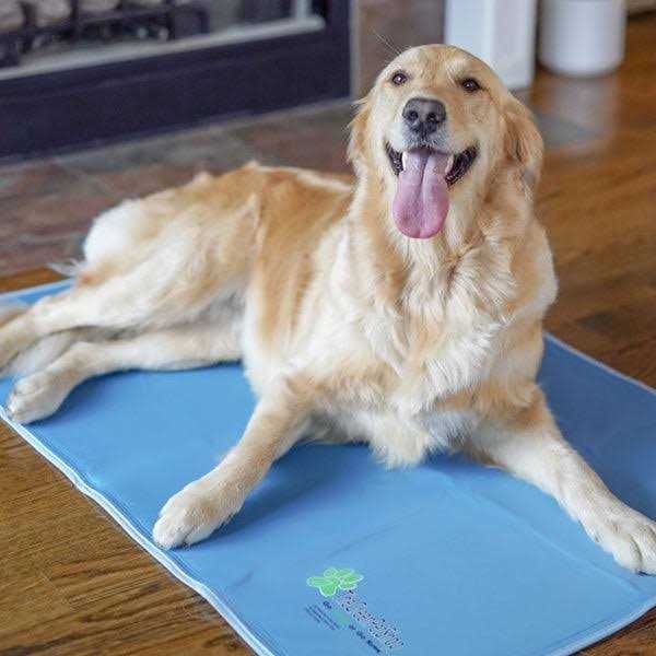 Green Pet Shop Cool Pet Pad