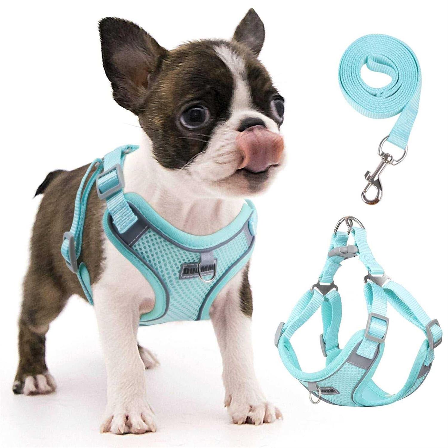 rennaio Dog Harness No Pull, Adjustable Puppy Harness with 2 Leash Clips, Ultra Padded Dog Vest Harness, Reflective Dog Harness and Leash